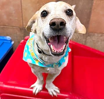 Photo of Churro