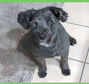 Photo of Max