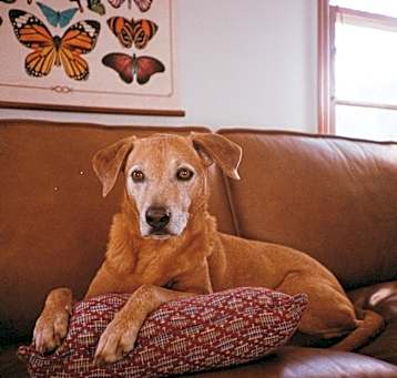 Photo of Ralph
