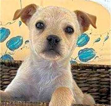 Photo of Isabella