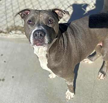Photo of Blue