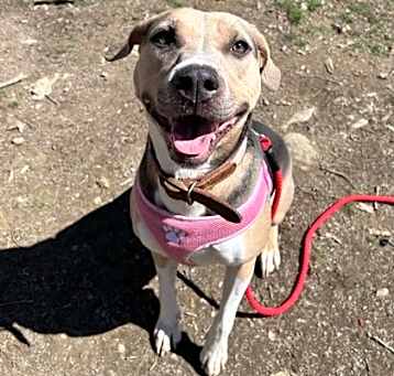 Photo of Xena