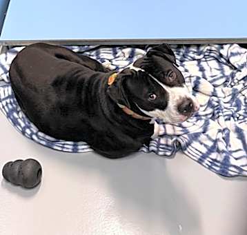 Photo of Tuck