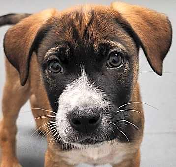 Photo of Bingo