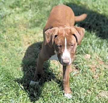 Photo of LITTLE LILA