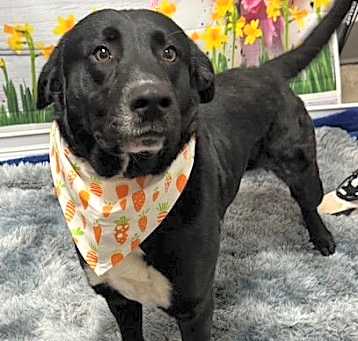 Photo of Kylo