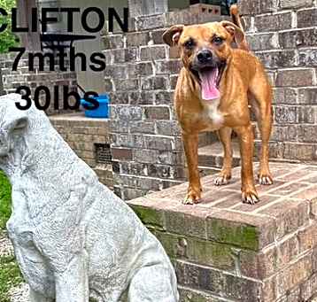 Photo of CLIFTON