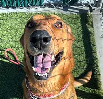 Photo of REX