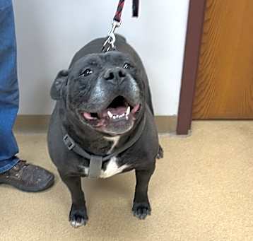 Photo of Zeus