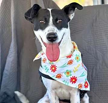 Photo of Maui*
