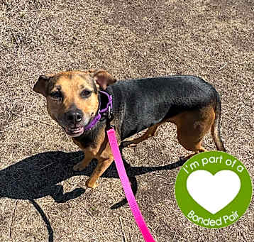 Photo of Roxy