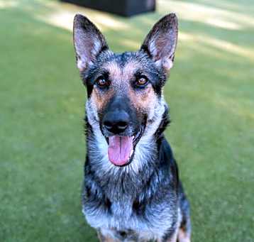 Photo of Button