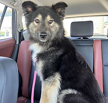 Photo of OLIVER