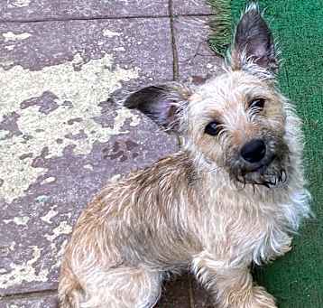 Photo of Tinkerbell