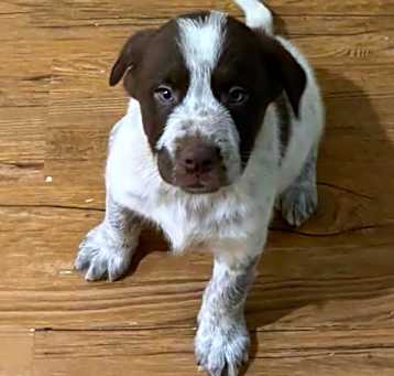 Photo of Edmund