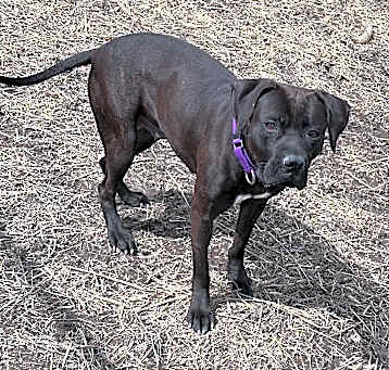 Photo of Bridget