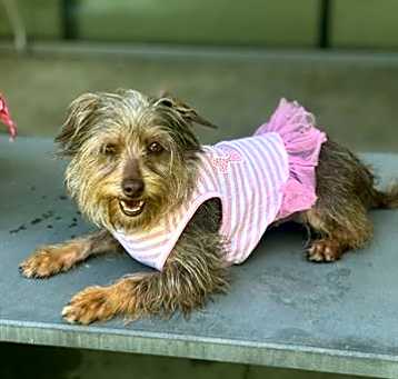 Photo of STELLA