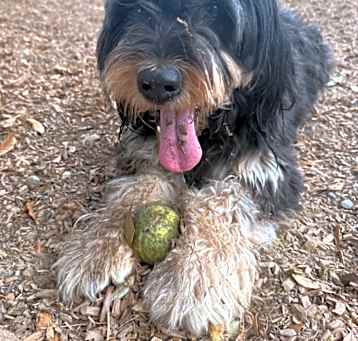 Photo of MALLORY (Maggie)
