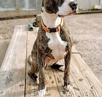 Photo of Max