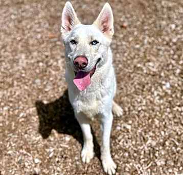 Photo of *WYATT