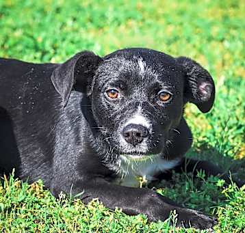 Photo of Melvin
