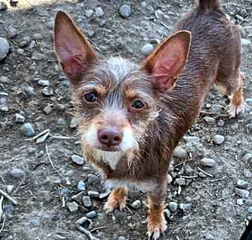 Photo of Bonnie