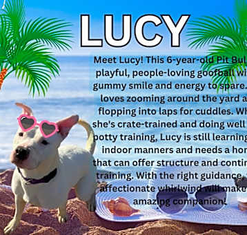 Photo of Lucy