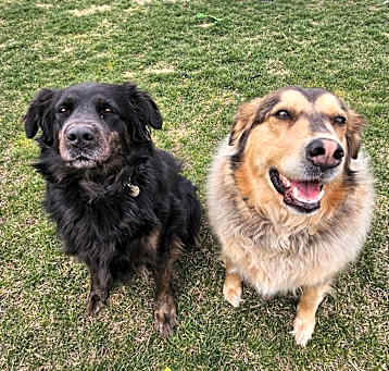 Photo of Skyy/Annie