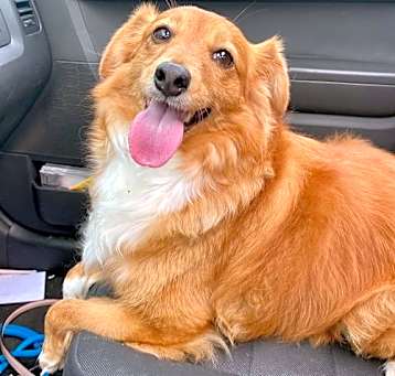 Photo of Molly