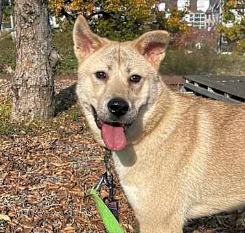Photo of Dooly