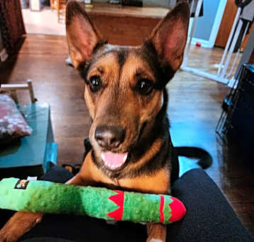 Photo of Heidi