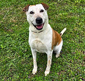 Photo of Daisy