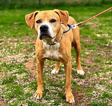 Photo of Willow