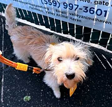 Photo of Sandy