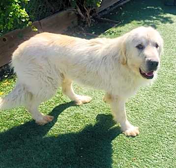 Photo of DARIUS
