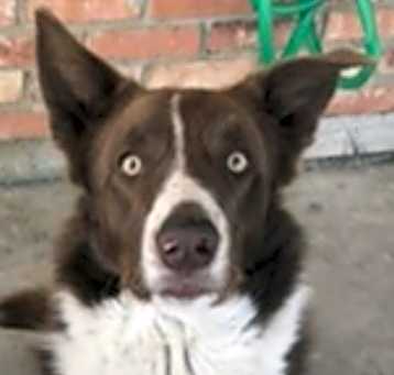 Photo of Jay