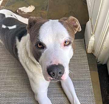 Photo of Sam