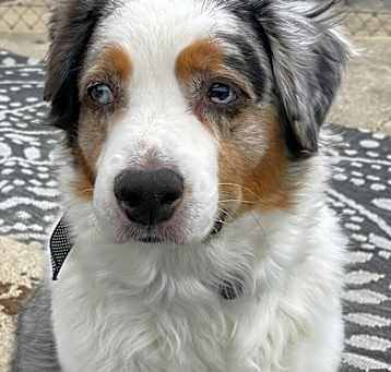 Photo of Oakley