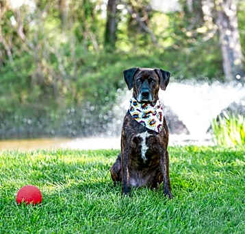 Photo of Willie