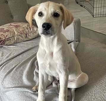 Photo of Big Boy