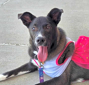Photo of Lucky