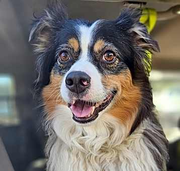 Photo of Jackson