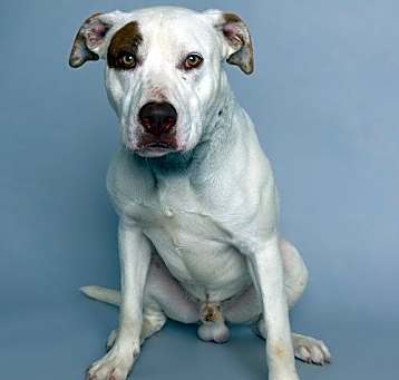 Photo of LSD Tucker