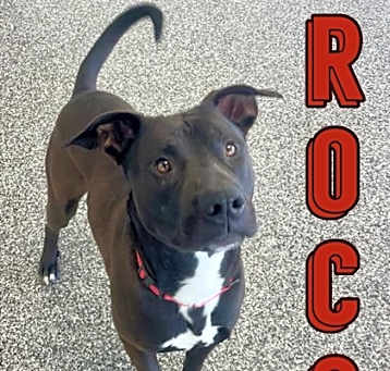 Photo of Roco