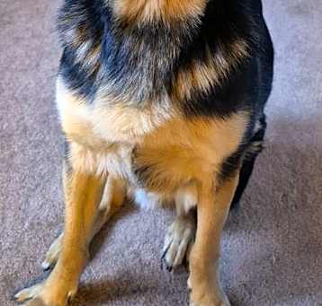 Photo of Blue