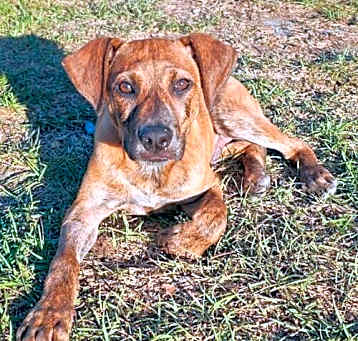 Photo of Hugo