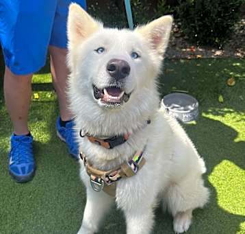 Photo of Storm