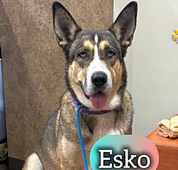 Photo of Esko