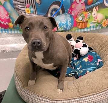 Photo of BELLA