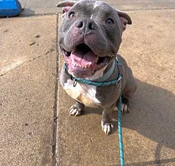 Photo of Apollo